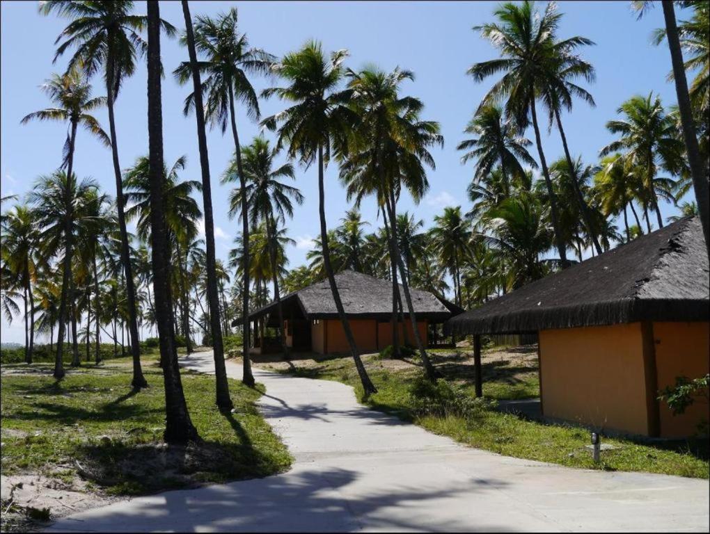 Reserva Imbassai Apartamento 04 Suites Mata de Sao Joao Bagian luar foto